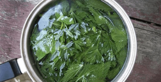 Hajhullás kezelése népi gyógyszerekkel